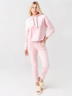 Front Page -Saintbernard Shop 1121086xLOTUSBLOSSOMxAlt1 47242406