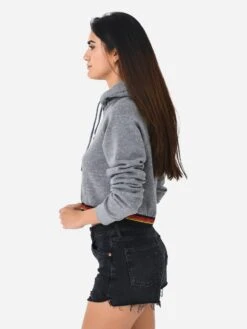 Aviator Nation Women's Logo Stripe Crop Pullover Hoodie -Saintbernard Shop HDPCLSTPBxHEATHERGREYxAlt2 98824643